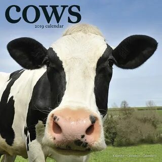 2022 Cow Calendar - March Calendar 2022