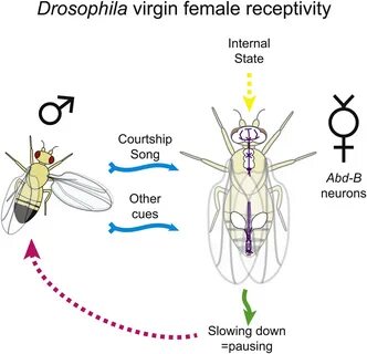 ScienceDirect 