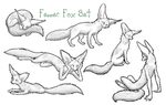 Fennec Fox Set Free by WinterWarfare on DeviantArt