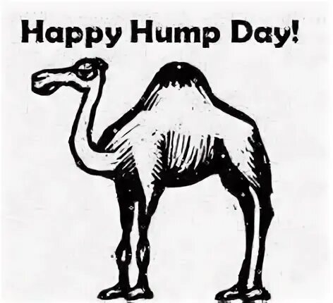 Hump Day Clipart - Homiped