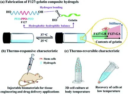 Reverse thermo-responsive hydrogels prepared from Pluronic F