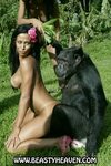 Woman fucks a monkey Porn 3gp mobile.