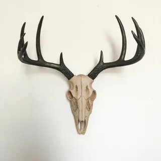 ANY COLOR Small Faux Deer Skull Wall Hanging Buck Antlers Et