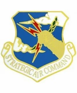 USAF Strategic Air Command (SAC) Air Force Beret Badge (1 1/