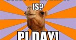 10 National Pi Day Memes And GIFs For Nerds And Foodies Alik