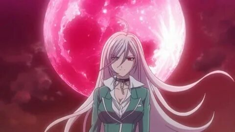 Розарио + Вампир / Rosario to Vampire (2008) (1-13 из 13) см