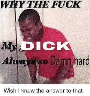 WHY THE FUCK Ick Alaasso Damn Hard Wish I Knew the Answer to
