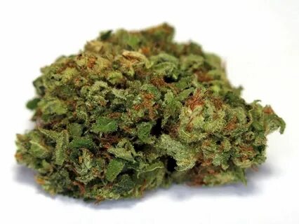 Strain of the Week: Acapulco Gold Cannafo News Marijuana Inf