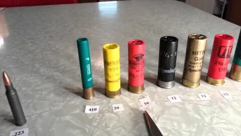 22 bullet case size comparison & shotgun shell ammo shell si