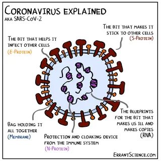 Corona virus cumming ga
