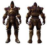Raven Guard Armor Set Kingdoms of Amalur вики Fandom