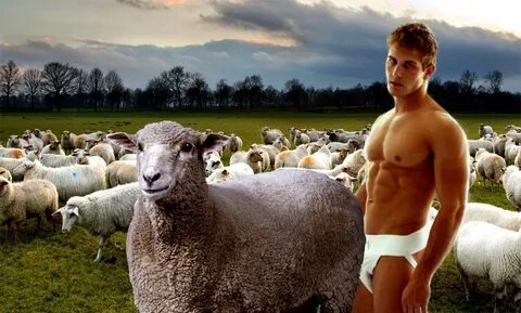 Donkey Fucking Sheep - Porn photo galleries and sex pics