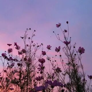 Pin by Динара Удодова on сохры Sky aesthetic, Purple sunset,