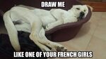 Draw me Labrador Draw Me Like One of Your French Girls Know 
