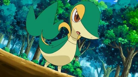 Snivy Hd Wallpapers Wallpapers - Most Popular Snivy Hd Wallp