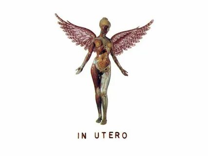 Best 53+ In Utero Wallpaper on HipWallpaper Nirvana Utero Wa