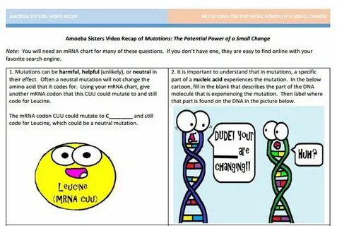 Mutation handout made by the Amoeba Sisters. Click to visit 