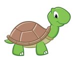 Turtle Pictures Clipart