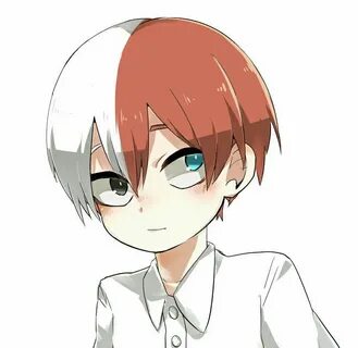 Todoroki Shouto My hero academia shouto, Hero, My hero acade