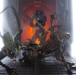 Click to join AVP fandom on thefandome.com #Alien #predator 