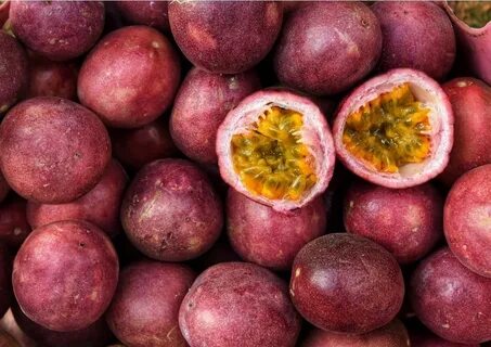 Passiflora Çarkıfelek Meyvesi Yetiştiriciliği- Passion Fruit