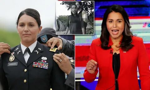 Tulsi Gabbard - FatCelebs - Curvage