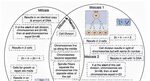 Venn Diagram Meiosis & Mitosis Mitosis, Diagram, Biology