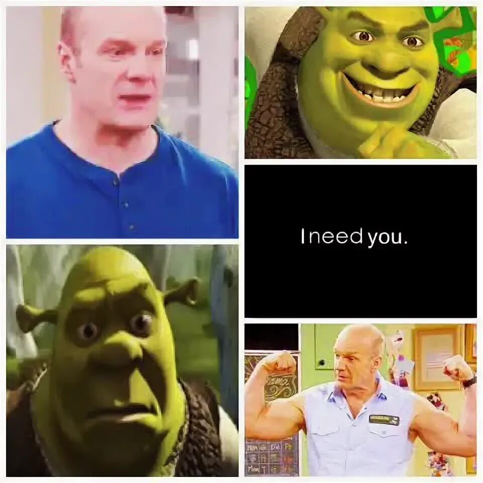 Best Funny Memes Bob Duncan and Shrek meme (aka, cancer) - M