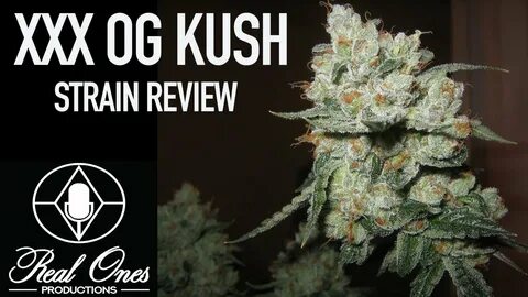 STRAIN REVIEW: XXX OG KUSH - YouTube