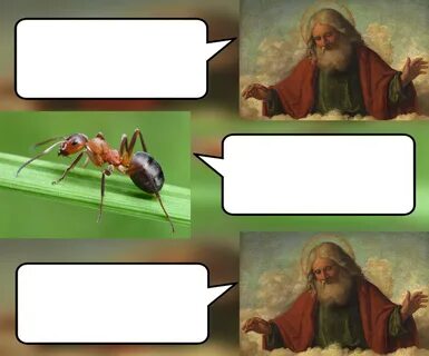 God, ants & anteaters Blank Template - Imgflip