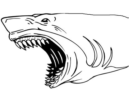 Shark Coloring Book Pages Related Keywords & Suggestions - S
