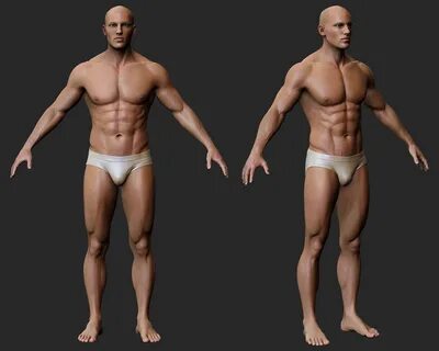 Male Body study - ZBrushCentral