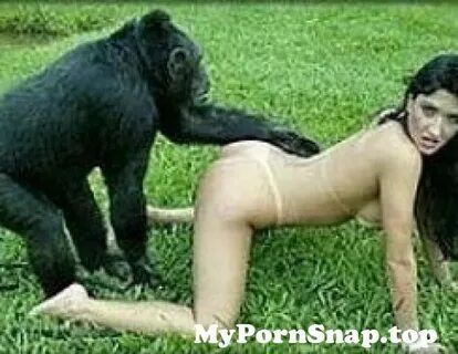 Sex Woman And Monkey Video.