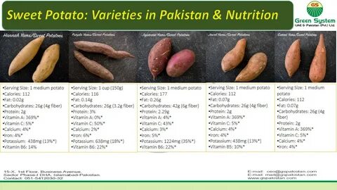 Sweet Potato varieties and information by GSU&P - YouTube