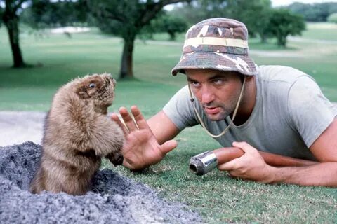 It’s in the hole! 'Caddyshack' is the Cinderella story that 