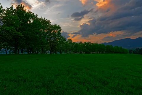 HD desktop wallpaper: Nature, Trees, Sunset, Grass, Meadow d