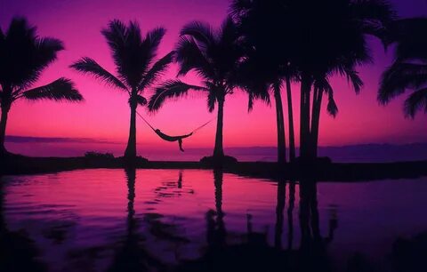 Обои pool, beach, man, mood, pleasure, palms, hammock, purpl