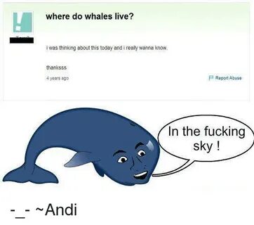 Where Do Whales Live? Iwas Thinking About This Today and I R