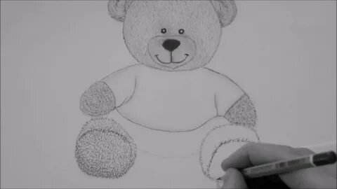How to Draw a Teddy Bear For Beginners - YouTube