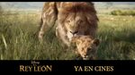 El Rey León (2019) Anuncio: Ya en cines HD - YouTube