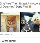 Chief Keef Then Turned a Innocent Lil Dog Into a Dope Fein 6