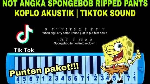 Not Pianika Spongebob Ripped Pants Koplo Akustik Tiktok Song
