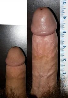 The Average Flaccid Cock Tumblr - Great Porn site without re