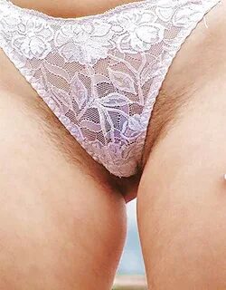 Transparent panties pics.