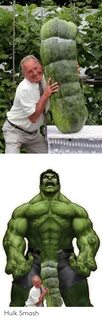 Hulk Smash Smashing Meme on ME.ME