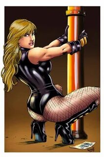 51 Hot Pictures Of Black Canary From DC Comics - XiaoGirls