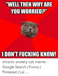 🐣 25+ Best Memes About Chronic Anxiety Cat Chronic Anxiety C