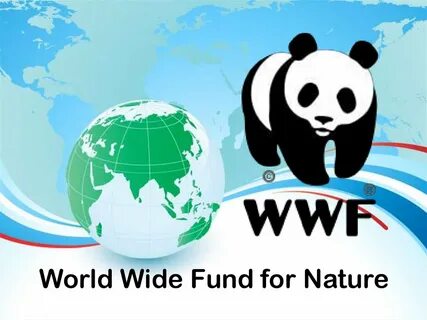 World Wide Fund for Nature - online presentation