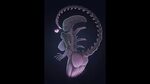 Xenomorph Got Cake Doe - Alien Isolation - YouTube