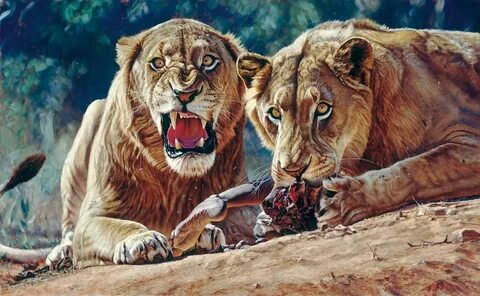 The Death of the First Man-Eating Lion of Tsavo - Sporting C